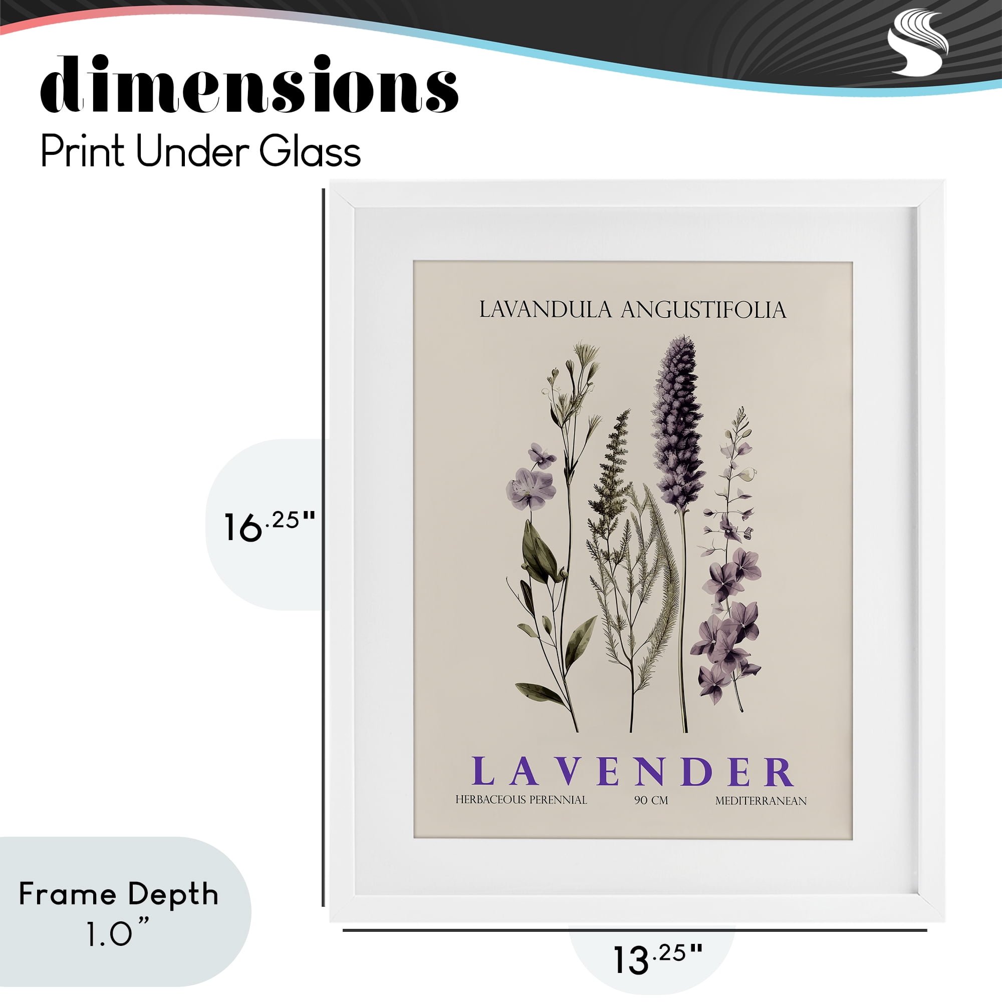 Stupell Industries Natural Lavender Bundle White Framed Print Under Glass, design by Christopher Giampietro