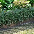thumbnail image 2 of Langgg 10 Pcs Protecteur de Jardin Filet pour Chat Plastique Anti-Animaux Filet de Protection pour Animaux, 2 of 6