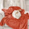 thumbnail image 5 of IR Imperial Rooms Adult Fleece Bed Blanket 310 GSM Microfiber Lightweight Winter Blanket Warm Fluffy Cozy Plush Rust Queen Size, 5 of 15