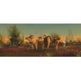 thumbnail image 3 of The Croods (DVD), 3 of 6