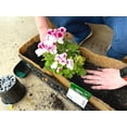 thumbnail image 3 of F PreFormed Replacement Coco Liner with Soil Moist for Window Basket, 3 of 9