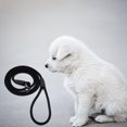 thumbnail image 5 of Pet Dog Leash Rope Nylon Adjustable Training Pet Dog, 5 of 5