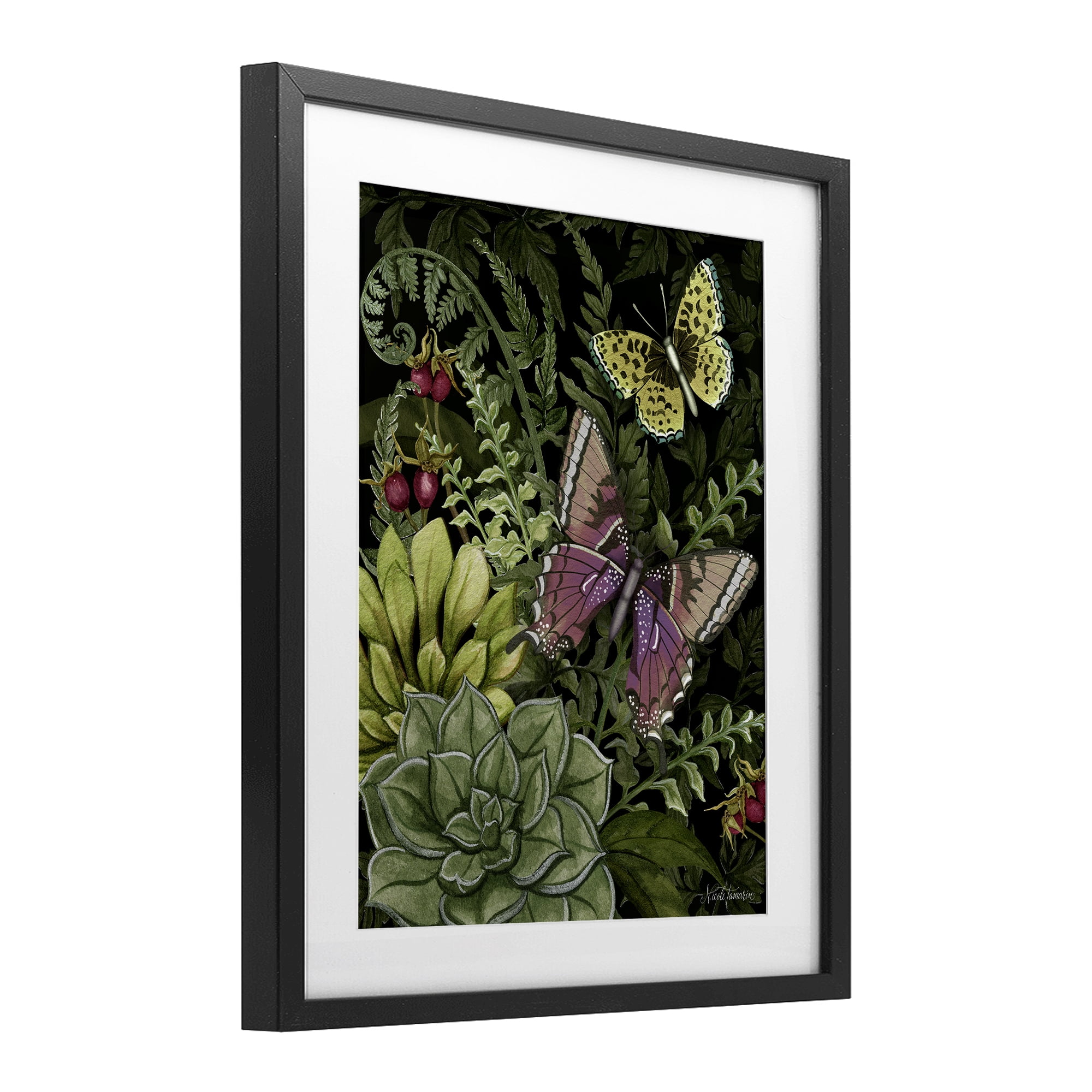 Stupell Industries Dark Succulents Midnight Garden Black Framed Print Under Glass, design by Nicole Tamarin