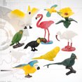 thumbnail image 4 of Miangastore 10Pcs Fashion Solid Simulation Animal World Mini Bird Model Parrot Flamingo Egret Science Teaching Decoration for Children (Random Color), 4 of 8