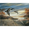 thumbnail image 2 of Manning, Ruane 14x12 Black Ornate Wood Framed with Double Matting Museum Art Print Titled - Migration South, 2 of 4