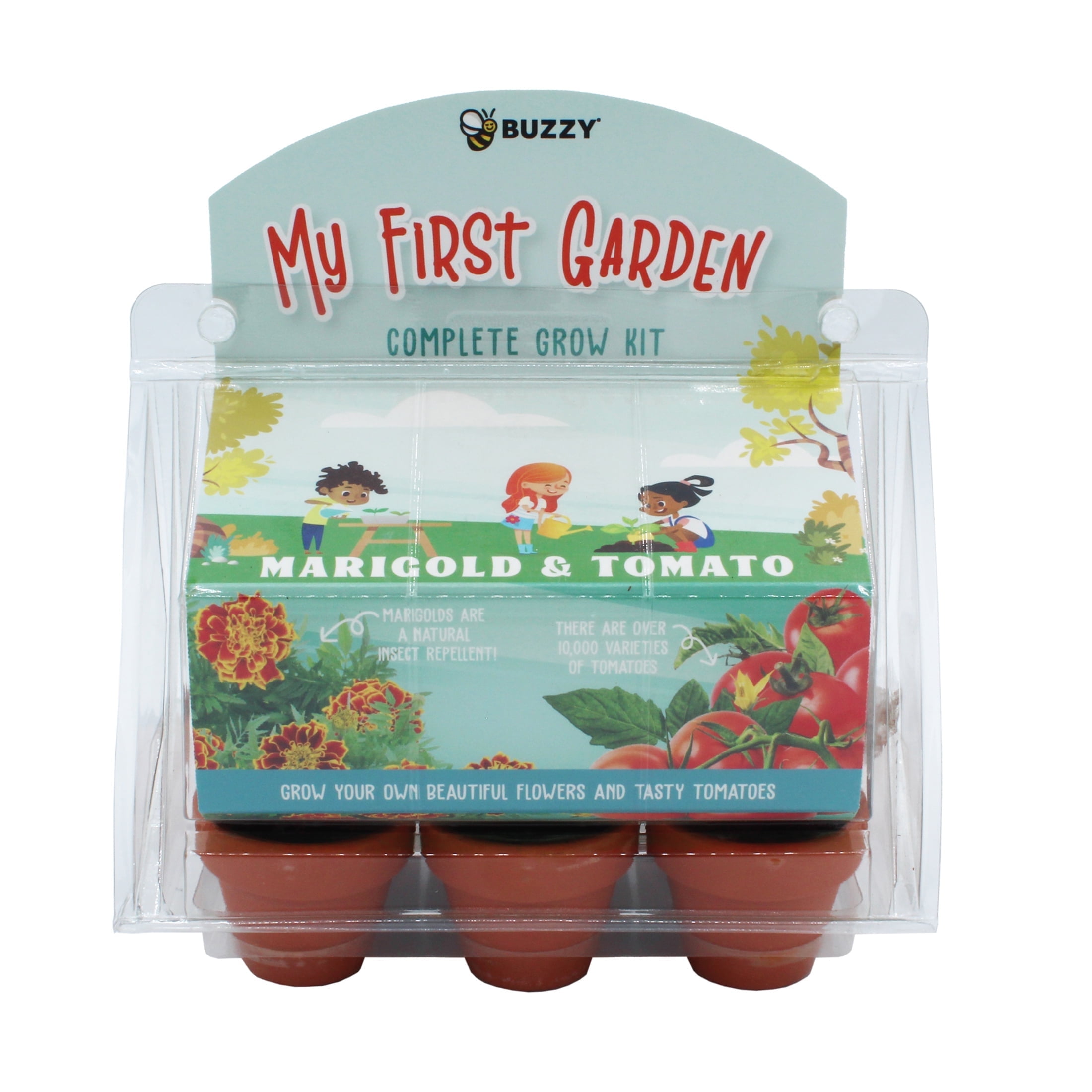 Buzzy Seeds Bloom to Table Starter Kit with 9 Fruit, Herb & Flower