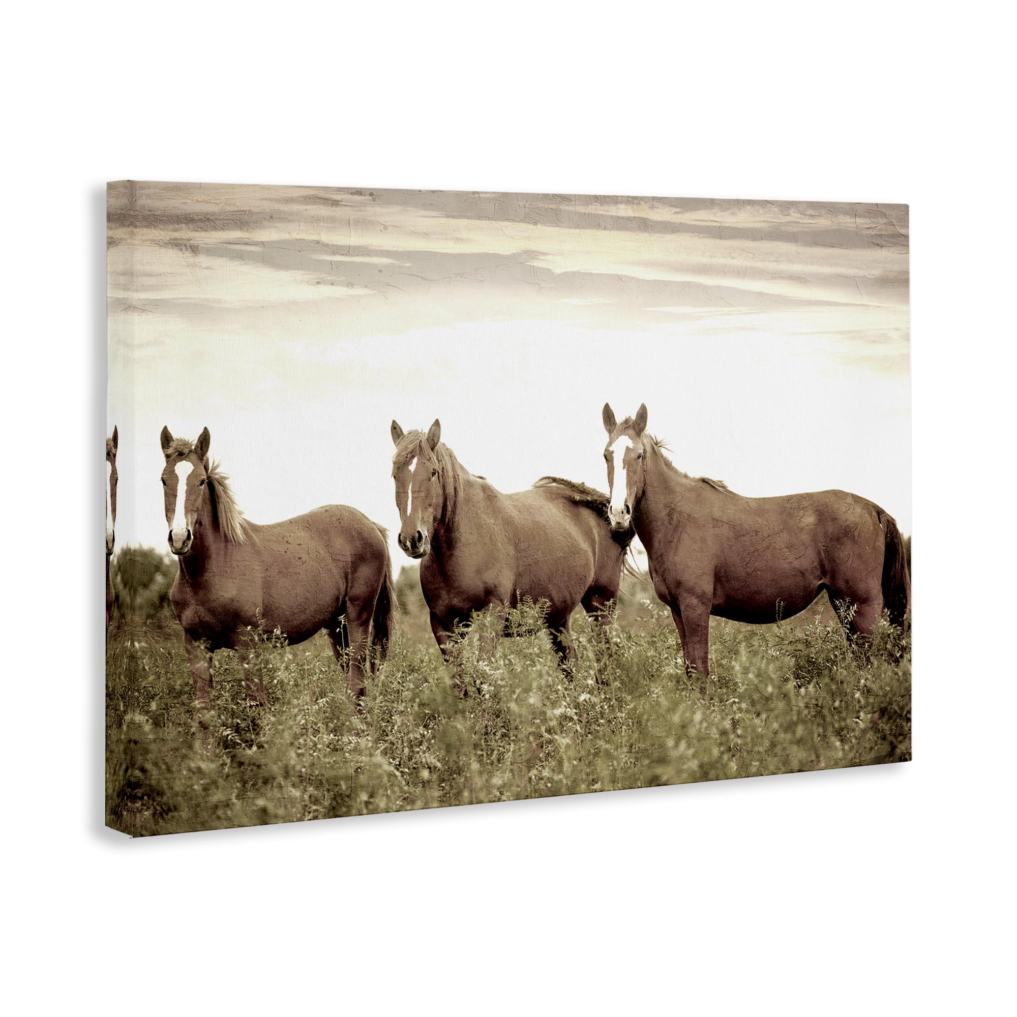 Stupell Industries Horse Trio Gaze Animals Painting Wrapped Canvas Art Print Wall Art, 24 x 16