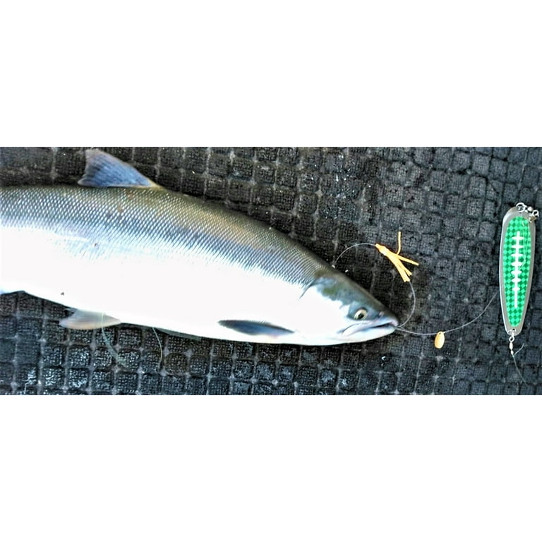 KOKOPROS Finished Kokanee Salmon HyperGlow Teardrop Fishing Flasher, 5-1/2  Length, Chrome, Green Skeleton 
