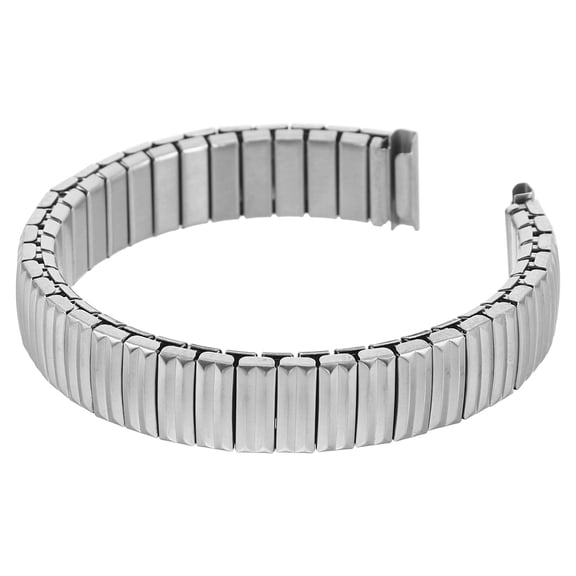 FENGGUIQU 12MM Stainless Steel Elastic Watch Strap Metal Band with Curved Ends