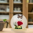 thumbnail image 5 of CIMAXIC Spherical Glass Dome Display for Flowers Multi Glass 1Set, 5 of 8