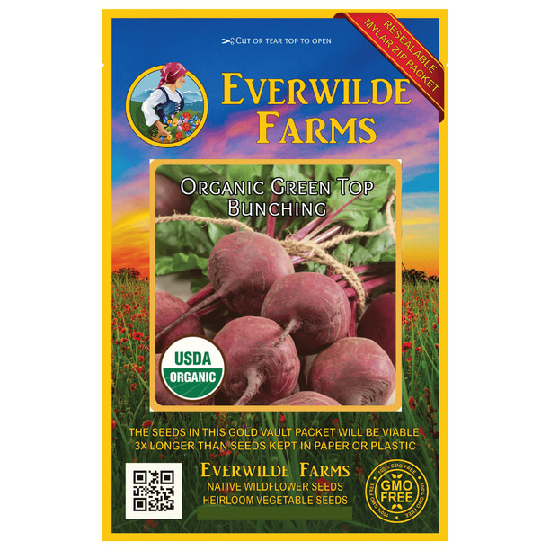 Everwilde Farms 500 Organic Green Top Bunching Beet Seeds Gold