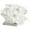 White Textured Solid Coral 12" x 10" x 8", variant on 12" x 8" White Polystone Textured Coral Sculpture with Clear Acrylic Base, by DecMode