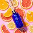 thumbnail image 2 of Capri Blue DPM Diffuseur de Roseau Volcan Parfum Taille : 8 Onces, 2 of 6