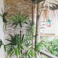 thumbnail image 4 of EXHUMKY Colgador De Plantas Macramé Beige Para Interior Y Exterior En Macetas Diversas, 4 of 8