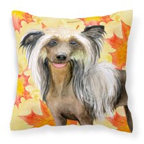 Carolines Treasures BB9920PW1414 Chinese Crested Fall Fabric Decorative Pillow 14Hx14W multicolor