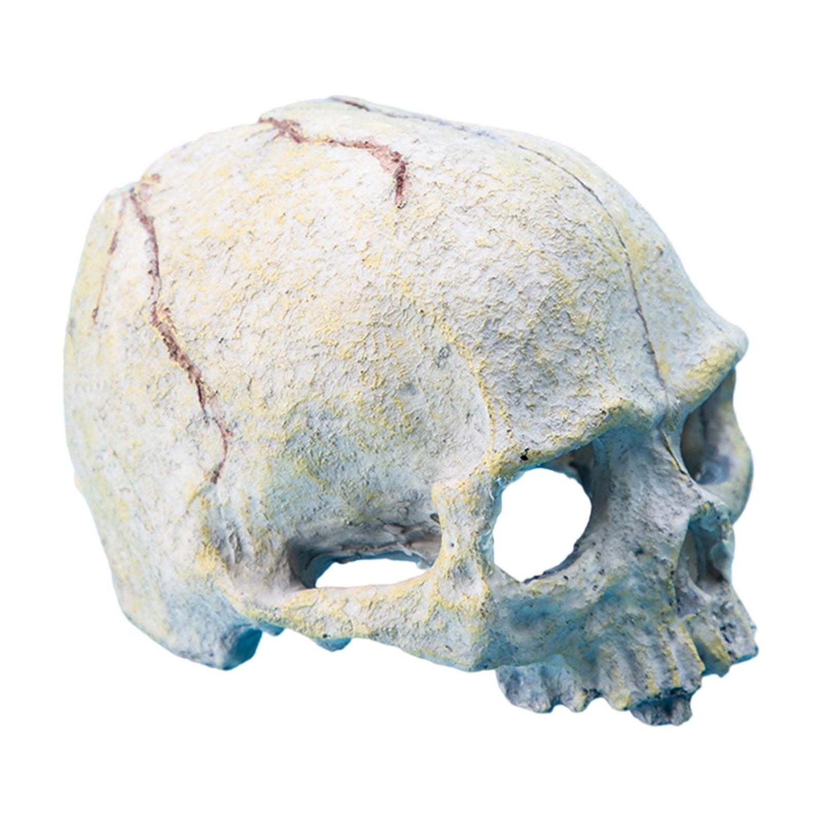 Resin Skull Head Reptiles Shelter Cave Terrariums Accessories for Amphibians Bearded Dragon Snake Hideouts Cave