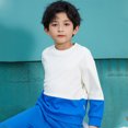 thumbnail image 6 of KYAIGUO Kids Toddler Boys Spring Fall Sweatshirt Undershirt Youth Boys Pullovers Round Neck Casual Sweaters Little Big Boys Long Sleeved Sweatsuit for 1-15Years, 6 of 7