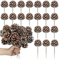Trianu 20 Pcs Christmas Natural Pine Cones Picks, 2 inch Snow Pine Cone for Christmas Tree Decorations Home Holiday Party DIY