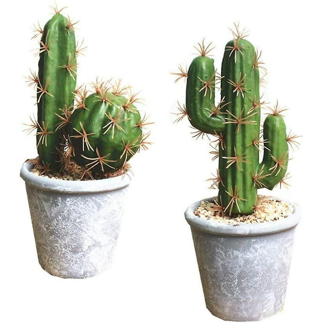 Suculentas Artificiales Cactus De Imitación MACHAO en Maceta con Piedra y Arena 22 cm