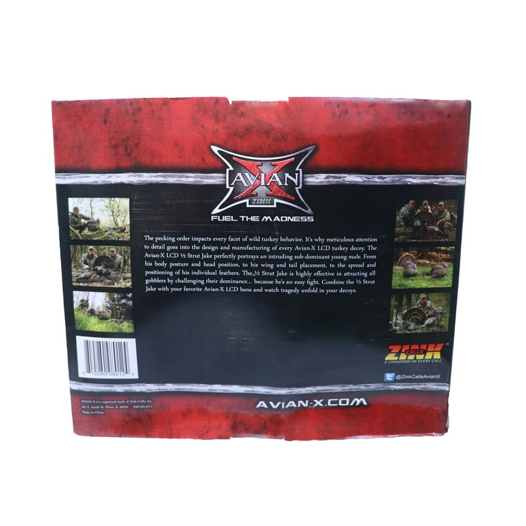 AVIAN-X LCD Half-Strut Jake Turkey Decoy | Durable Realistic
