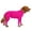 Red, variant on AOMRCOL Dog Surgery Recovery Suit for Small to Medium Dogs, Purple, Size S