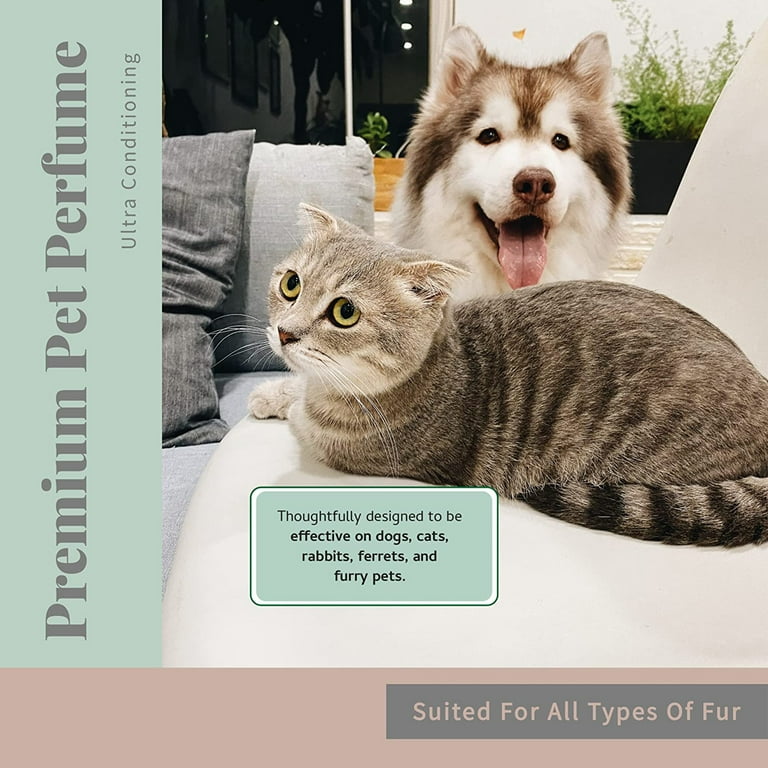 Pet perfume for cats cheap