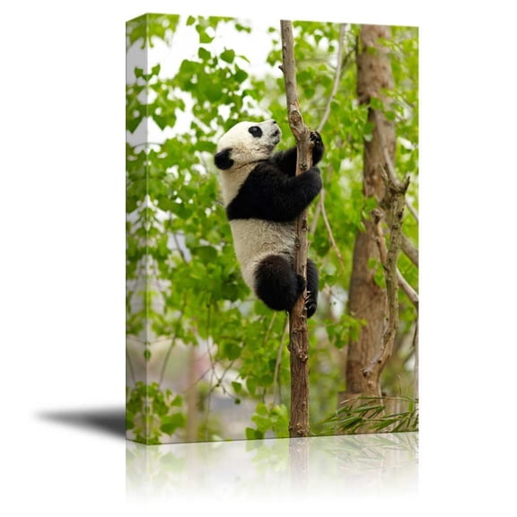 Canvas Prints Wall Art - Baby Giant Panda Climbing Over the Tree | Modern Wall Decor/Home Decor Stretched Gallery Canvas Wrap Giclee Print & Ready to Hang - 12" x 18"