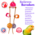 thumbnail image 6 of Bonka Bird Toys 3724 Triple Jingle Ball, 6 of 7