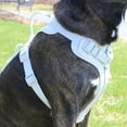 thumbnail image 3 of Vibrant Life Neoprene Comfort Control Monochrome Harness, Gray, Medium, 3 of 8