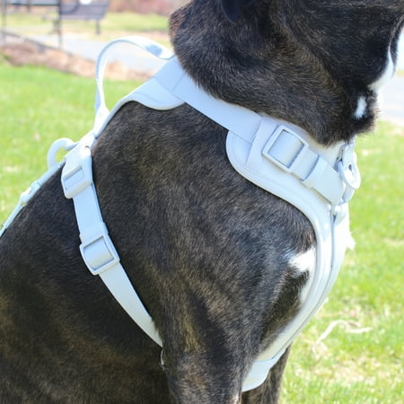 Vibrant Life Neoprene Comfort Control Monochrome Harness, Gray, Medium