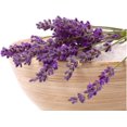 thumbnail image 2 of GSDWIUEW Seeds Herb English Lavender Perennial, 2 of 8