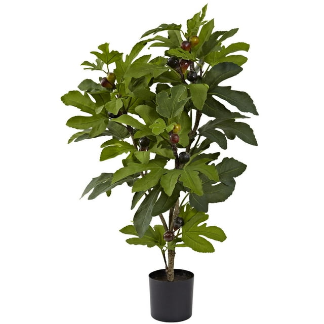 Arbre de Figues de 32?? avec 42 LV et 15 Figues