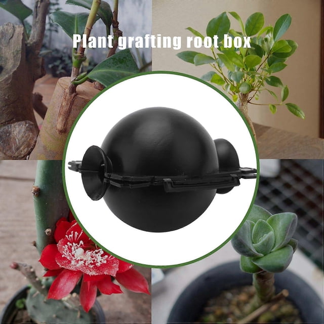 Plant Rooting Box High Pressure Propagation Ball Grafting Device Garden Grafting Plant Root Controll