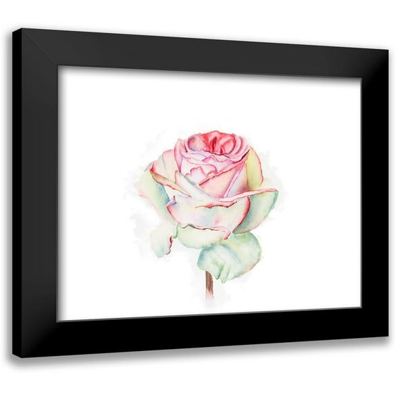 Shefranov, Olga 18x15 Black Modern Framed Museum Art Print Titled - Rose
