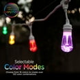 Enbrighten Seasons Vintage LED ColorChanging Café String Lights, 24ft. 12 Acrylic Bulbs, Indoor