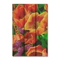 thumbnail image 1 of Day Dream WGFB1420 14 x 20 Po Bloom Art Mural, 1 of 1