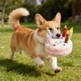 thumbnail image 5 of Squeaky Dog Toy Birthday Cake Plush Toy, Interactive Chew Toy for Dogs, for Birthdays and Celebrations, Encourages Play and Reduces Boredom, 5 of 6