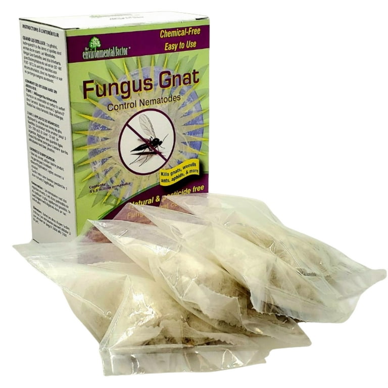 Biological Control for Fungus Gnats - Pests in the Urban Landscape