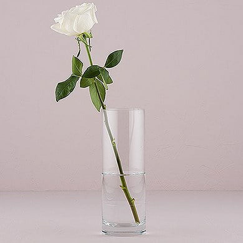 Libbey 9.5-Inch Clear Glass Cylinder Vase for Floral Arrangements