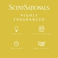 thumbnail image 4 of (2 pack) Frozen Lemonade Scented Wax Melts, ScentSationals, 2.5 oz, 4 of 6