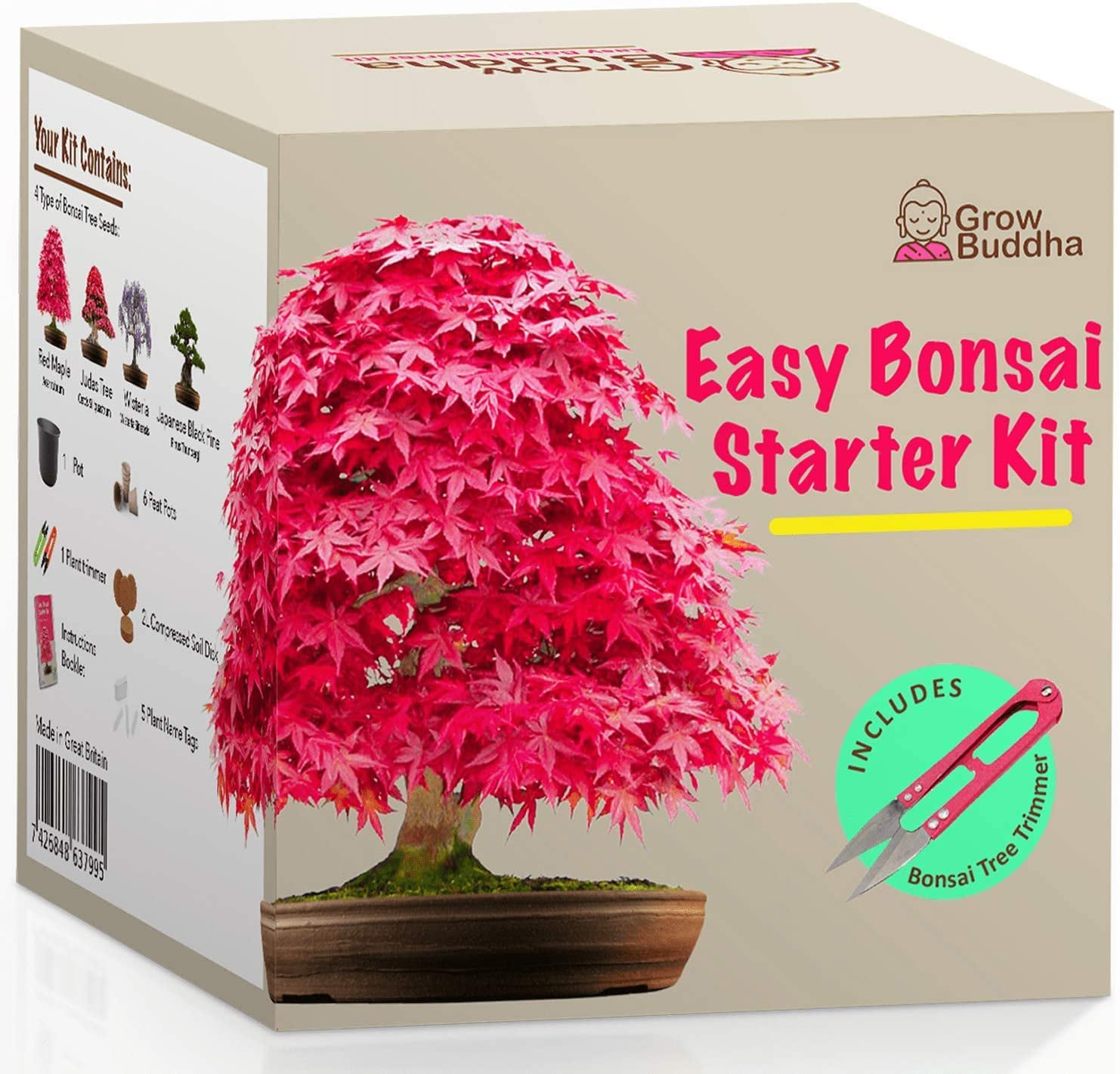 Grow Your Own Bonsai Kit Easily Grow 4 Types Of Bonsai Trees With Our Complete Beginner Friendly Bonsai Seeds Starter Kit Unique Seed Kit Gift Idea Walmart Com Walmart Com