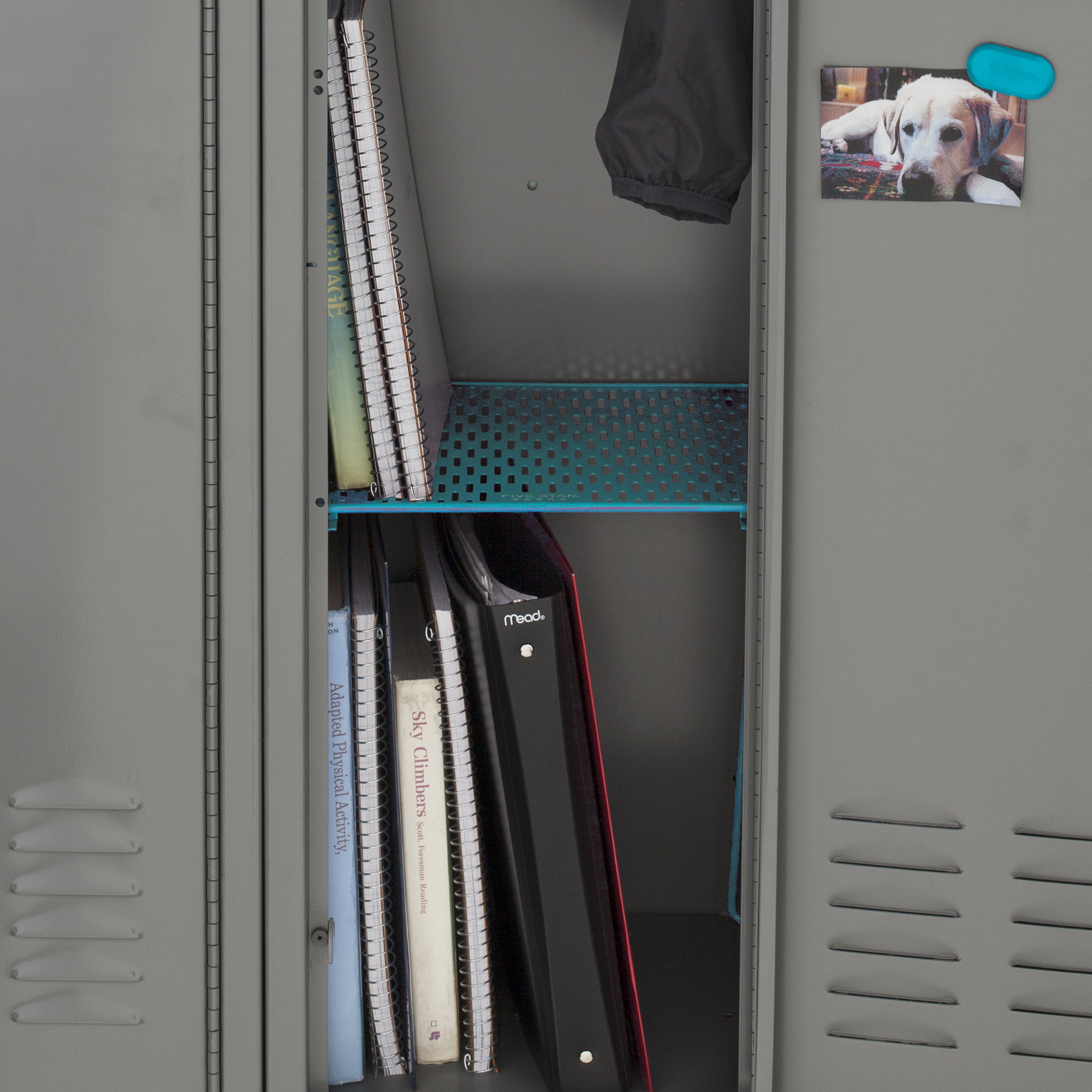 Five Star Locker Organizer, Locker Shelf & Drawer, Extra Tall (14), Holds  up to 100 Lbs. Fits 12 Width Lockers, Color May Vary, 1 Count (81070)