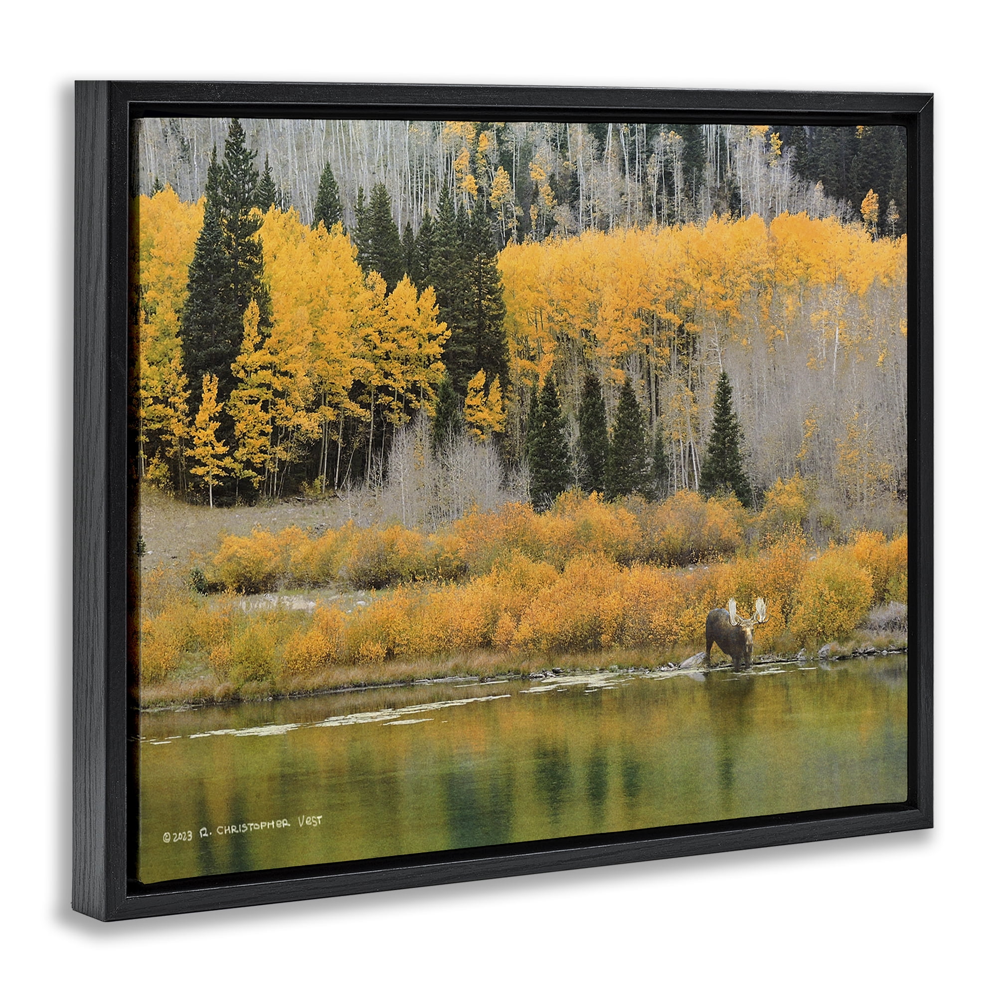 Stupell Industries Moose at Priest Lake Landscape & Nature Photography Black Floater Framed Canvas Art Print Wall Art, 21 x 17