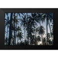 thumbnail image 2 of Head, Danny 18x13 Black Modern Framed Museum Art Print Titled - Palm Grove I, 2 of 5