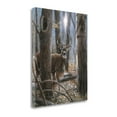 thumbnail image 2 of Tangletown Fine Art 'Woodland Sentry Buck' Photographic Print on Canvas, 2 of 2