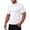 White, variant on Muscle Shirts for Men Summer Lightweight Short Sleeve Neck Slim Fit Moisture Wicking Athletic Workout Gym Tshirt