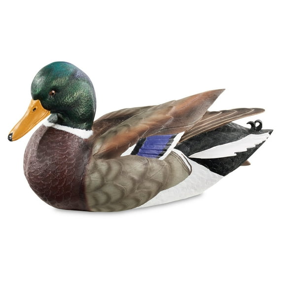 Mallard