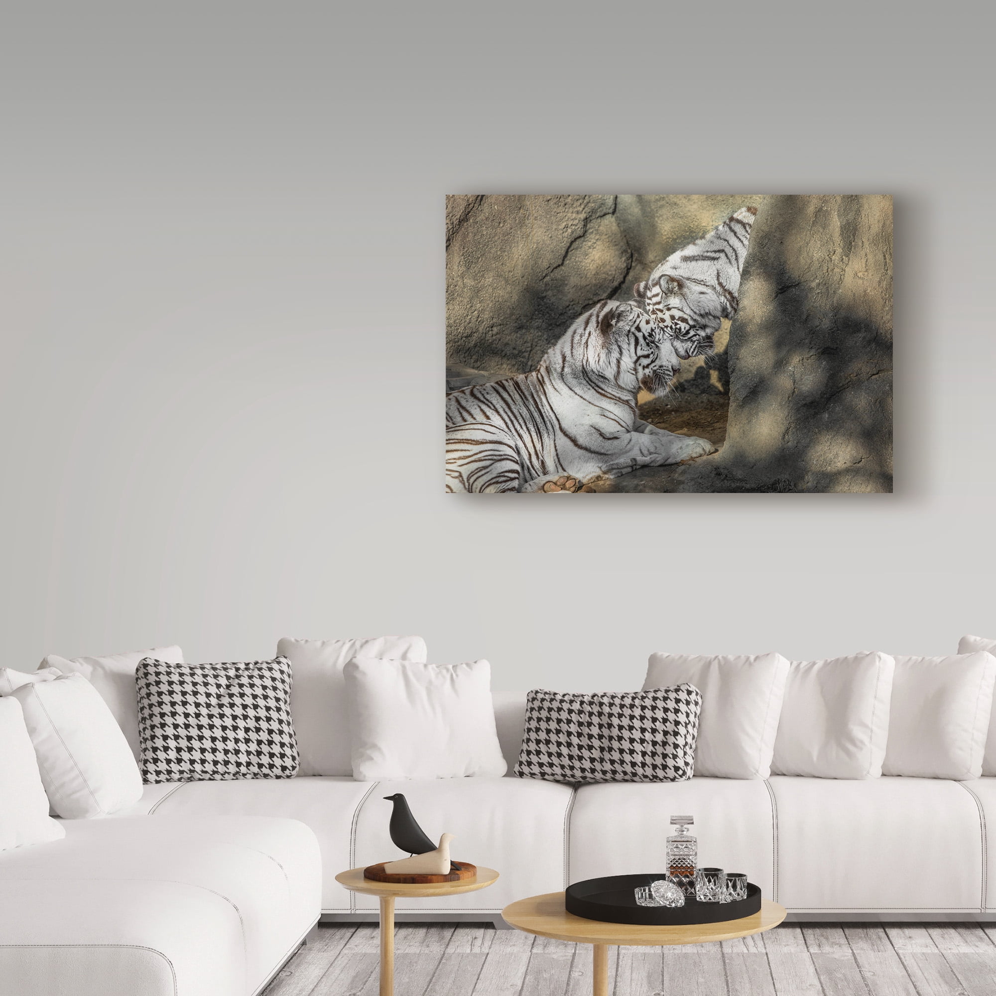 Trademark Fine Art 'White Tiger Headbutt' Canvas Art by Galloimages Online