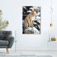 View all media