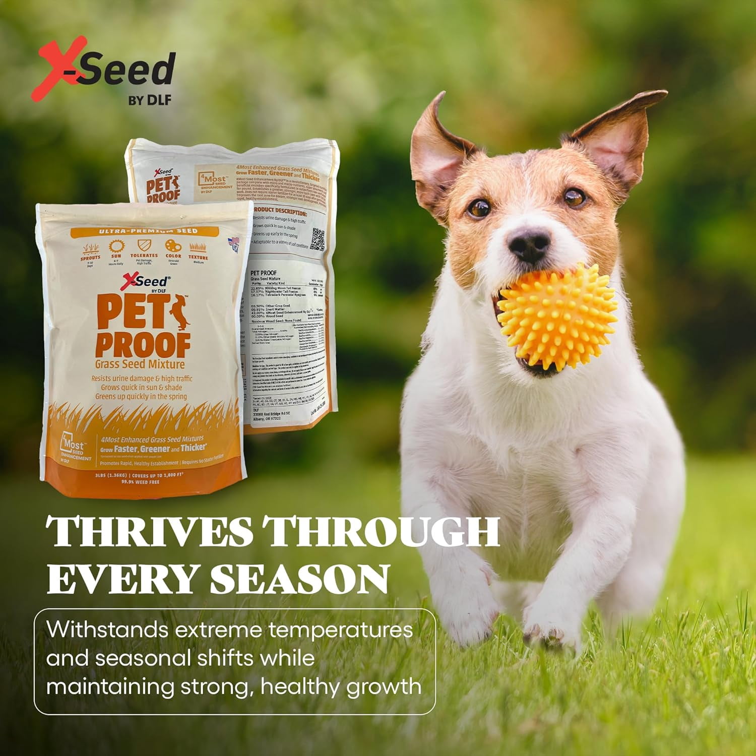 X-Seed Pet Proof Fescue Grass Seed – Dense Lawn for Sun & Shade, Urine Resisitant High Traffic Emerald Green Grass, Rapid Growing In Cool & Sunny Climates,Suited for Dogs – Perennial Blend -3 lb Bag
